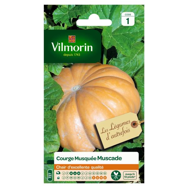 Potagères - Courge Musquée de Provence - Légumes d'Autrefois - face recto